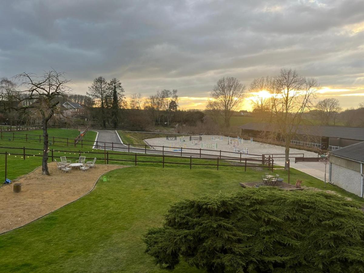 B&B At Haras Petit-Hallet Hannut ภายนอก รูปภาพ